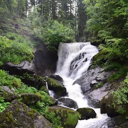 My Am Heuberg Nr 1 Frittlingen