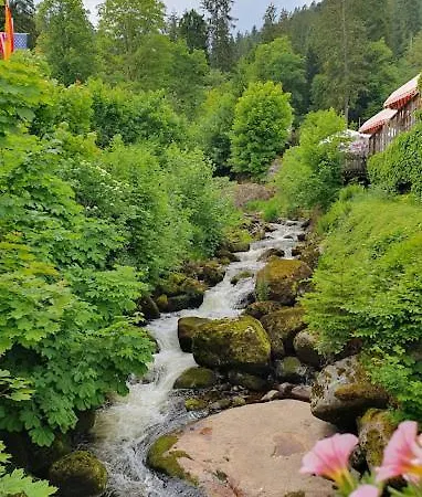 My Am Heuberg Nr 1 Διαμέρισμα *